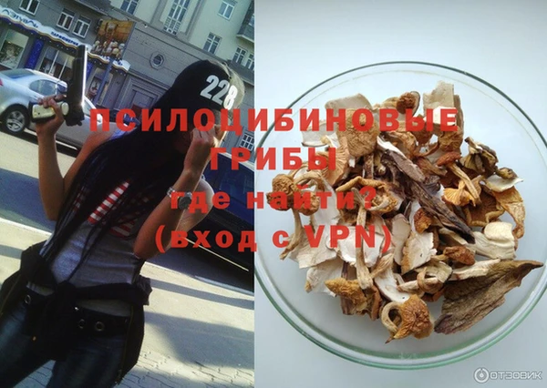 Альфа ПВП Арсеньев