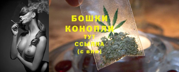 СК Балахна