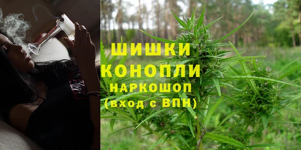 СК Балахна
