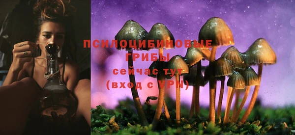 ПСИЛОЦИБИНОВЫЕ ГРИБЫ Балабаново