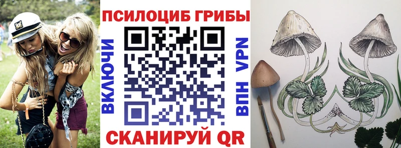 продажа наркотиков  Славянск-на-Кубани  Псилоцибиновые грибы мицелий 